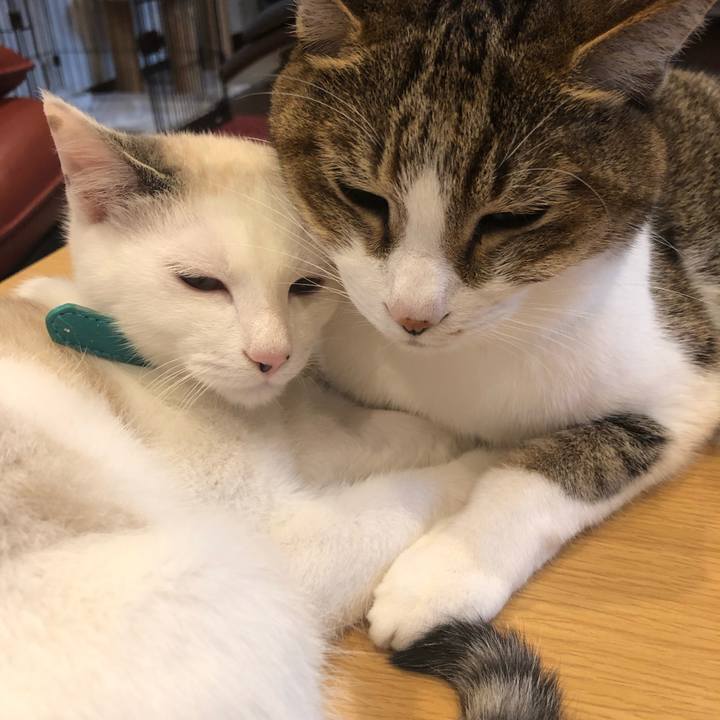 D8931af8 3e77 4528 92ac 04166f587941 1547522383407