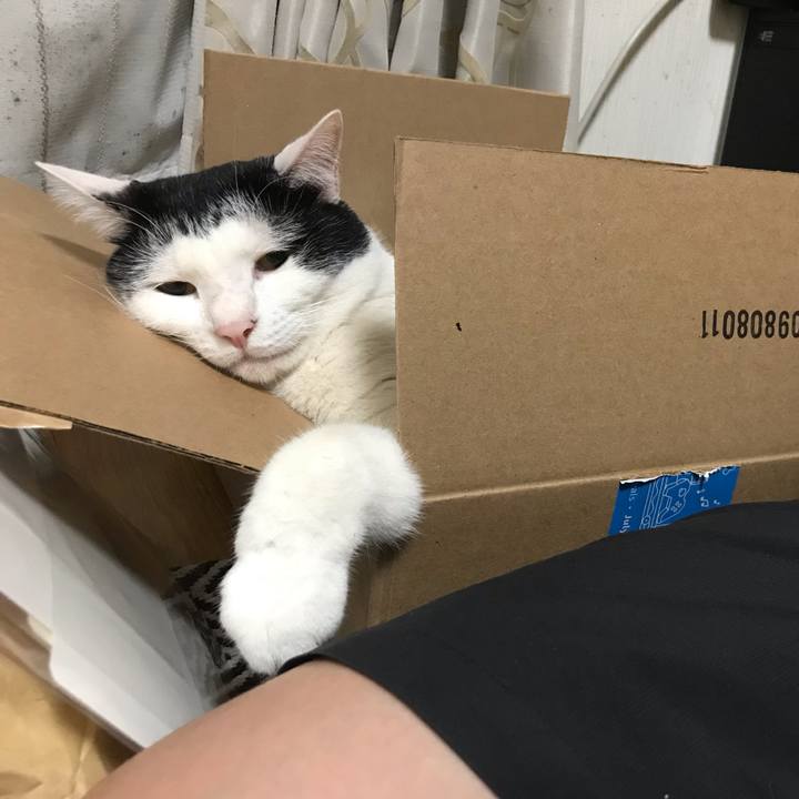 D8933b72 cf5c 4de0 8794 3c04e8fdf1b5 1565517541869