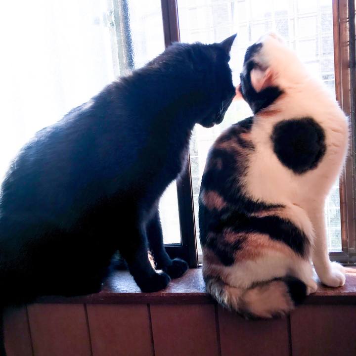 D893cdf7 21a7 42cb a94a 1fffb9dc7158 1526016166335