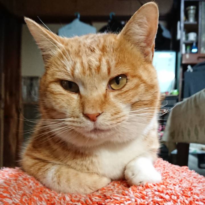 D8940f88 7dec 4fb9 a318 baab83cd77d2 1581415013893