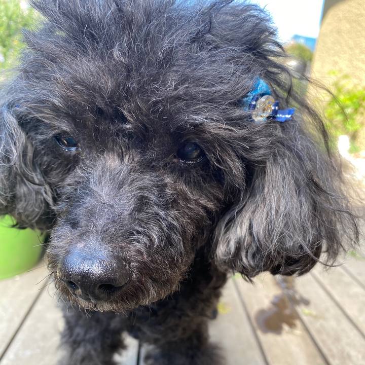 D8941348 5b45 46f8 9a16 348b3dcc5f0c 1585962751149