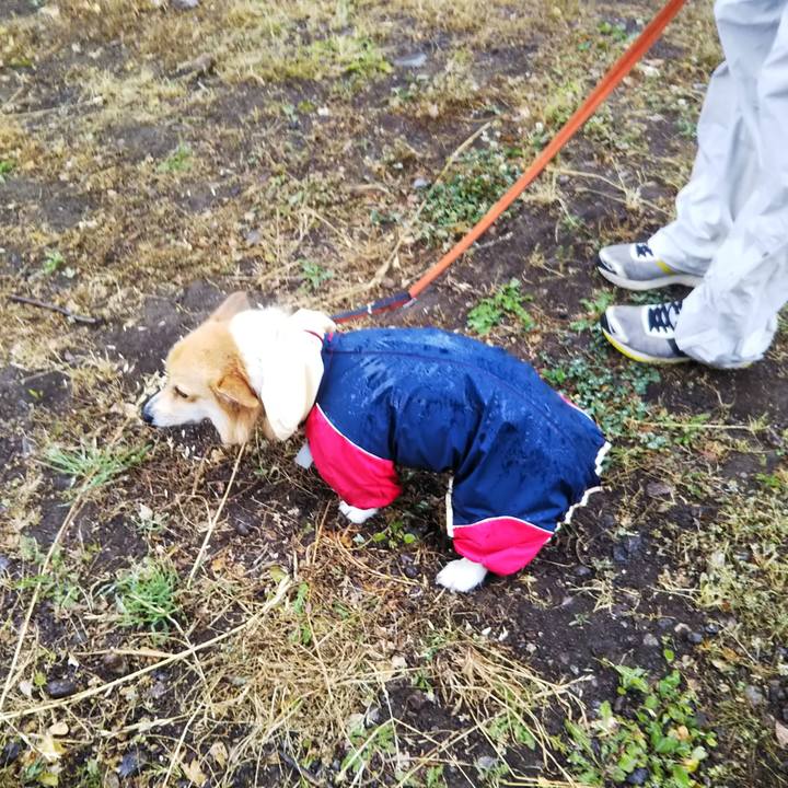 D894491a a5f2 405c b193 6fd5e7807f2b 1528608202432