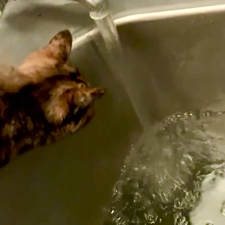 D89450e3 ddaf 4915 857e 30745a88be06 1747684656782