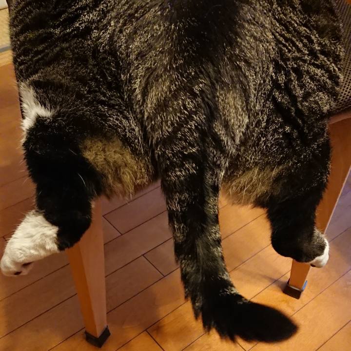 D894c00e 2dd6 4f78 8245 eca0ddf66eb6 1537664907224