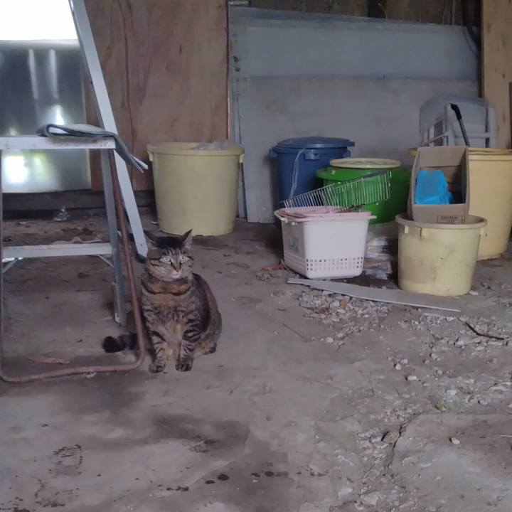 D895693d e56c 4b58 aa16 1ebdc24fdc42 1683417159215