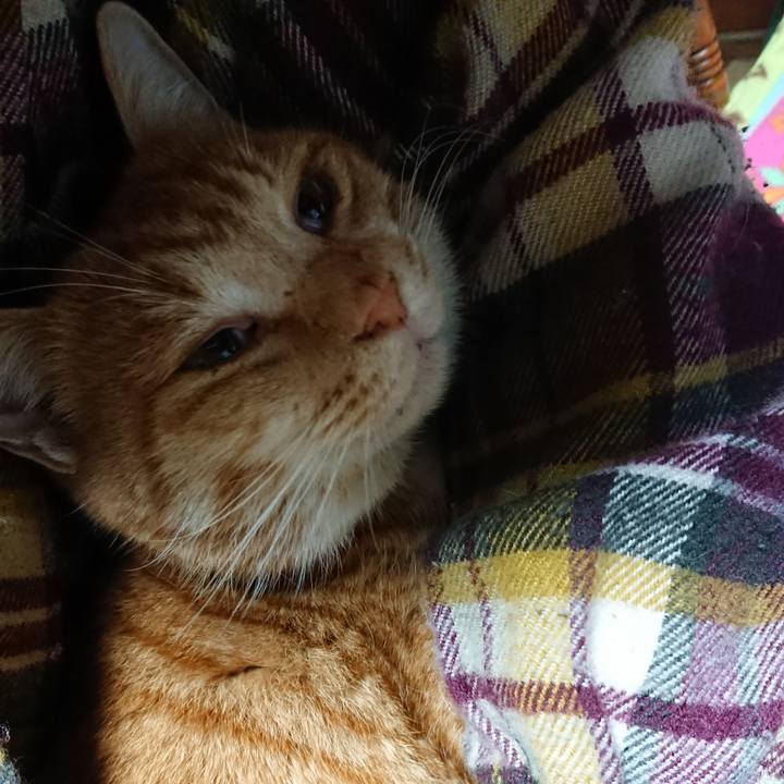 D895c829 2d7a 4f66 83f9 be5735e712b1 1577652717031