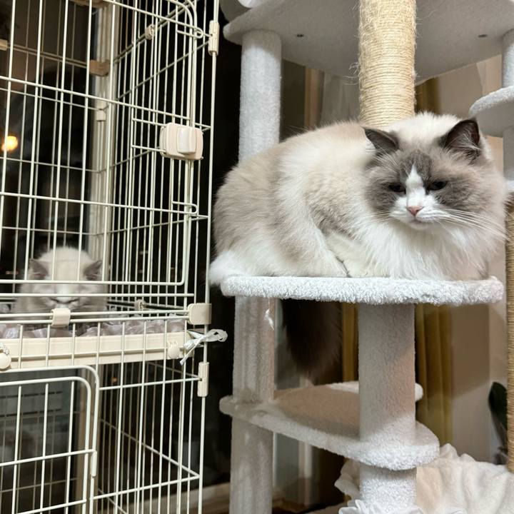 D895e201 3173 4ec5 a257 0bd5feac3b84 1728994549462