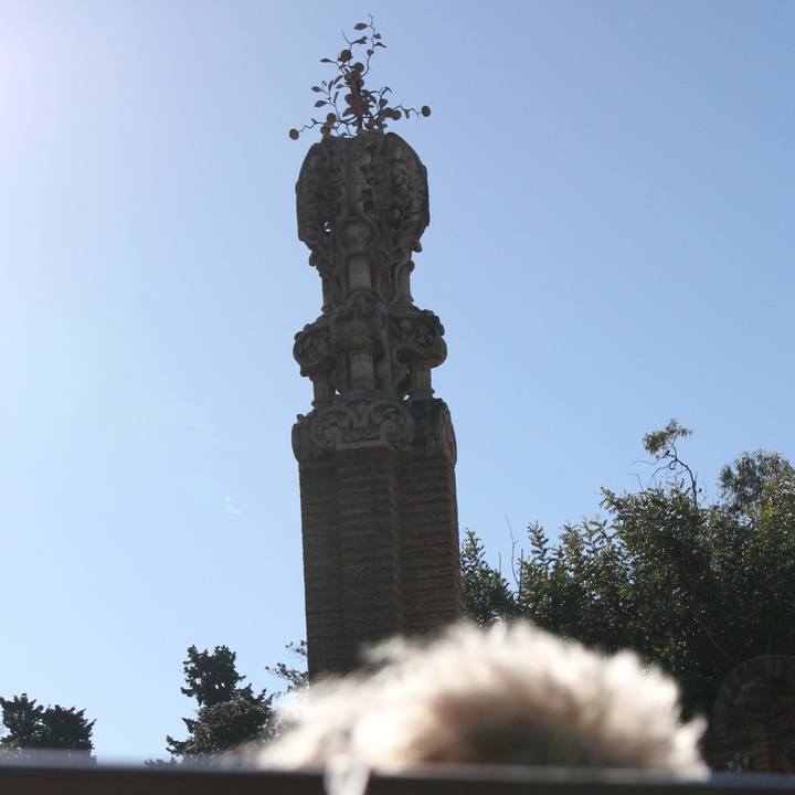 D895e5fa 79cf 471f bcea 48a0f62261a1 1516378171628