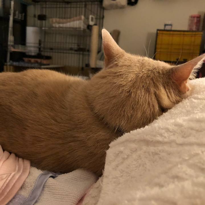 D895e93c 6ff9 43e0 a360 e30cf65d1140 1566127588508