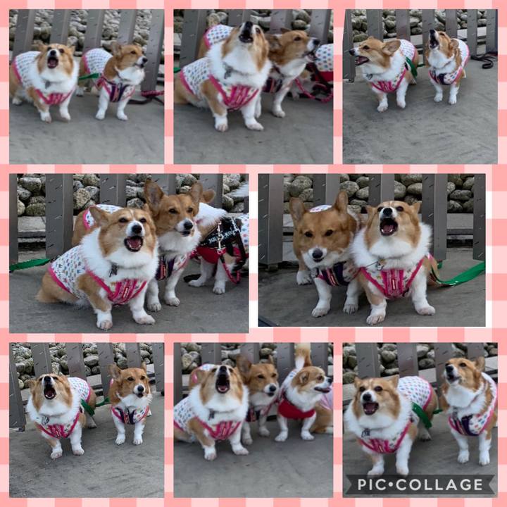 D8962696 9380 44f1 a775 cd20c2d4548a 1584281886435