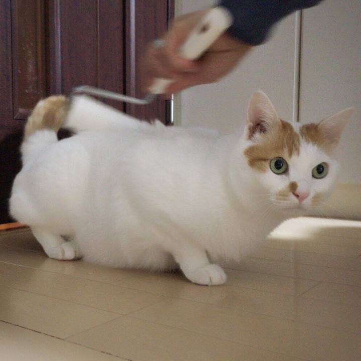 D8967d43 4a8b 4f51 8b0c 774f97cd6a46 1517138626254