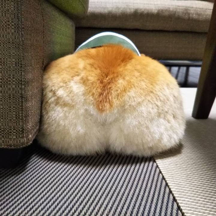 D8969388 52b1 4e1a a0be e16e65de5339 1528611378194