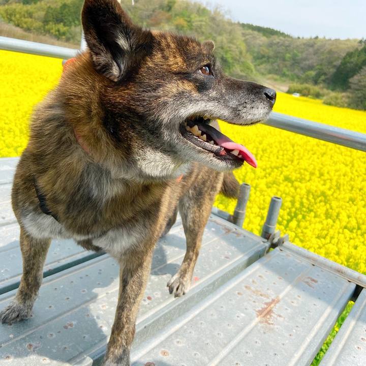 D896b04d 90ab 4b02 a2bd d6a34eafbdfd 1588480113684