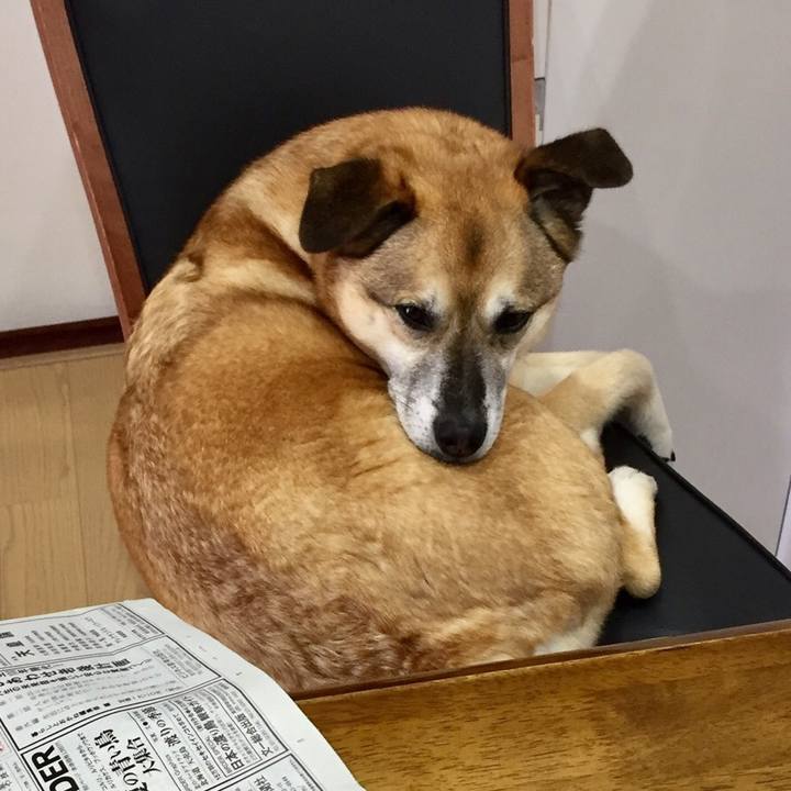 D896b744 d582 45a0 9e03 9120f5260a1b 1555370809285