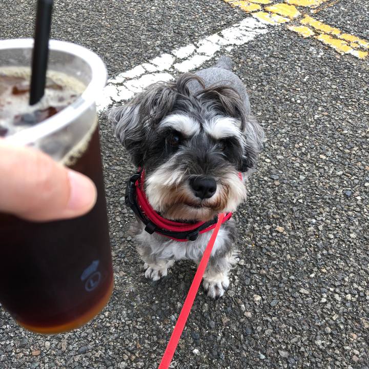 D896d3b3 1c8f 43b7 8795 20bdee30f6df 1569110530188