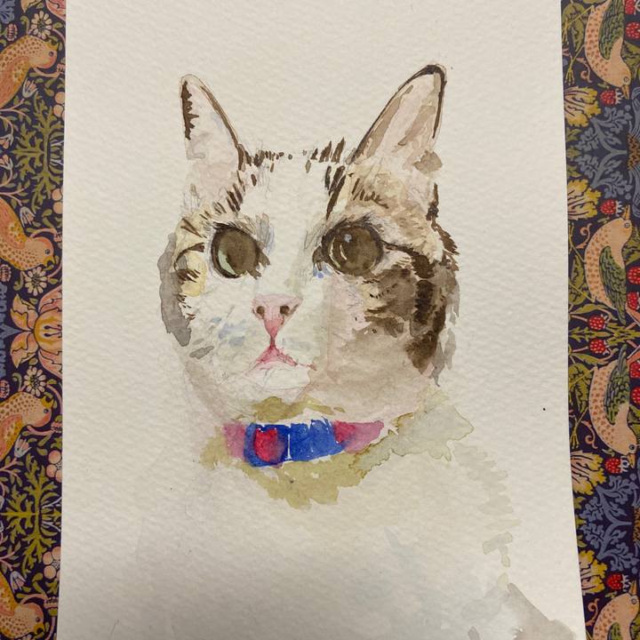 D897377e 77f3 4f12 aa70 e66d4400b712 1689773025196