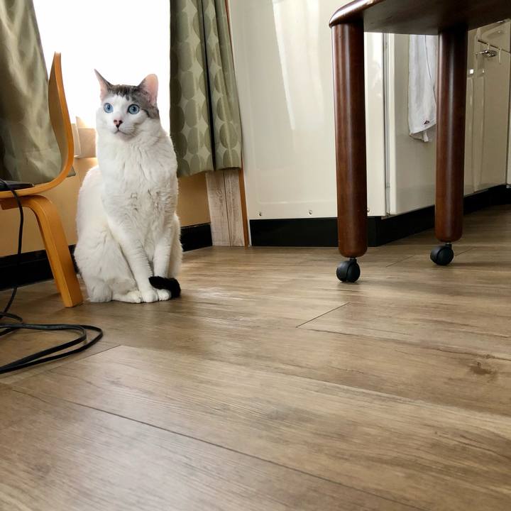 D8974dc9 6bb5 4600 b22c 073cbe354d46 1620362433270