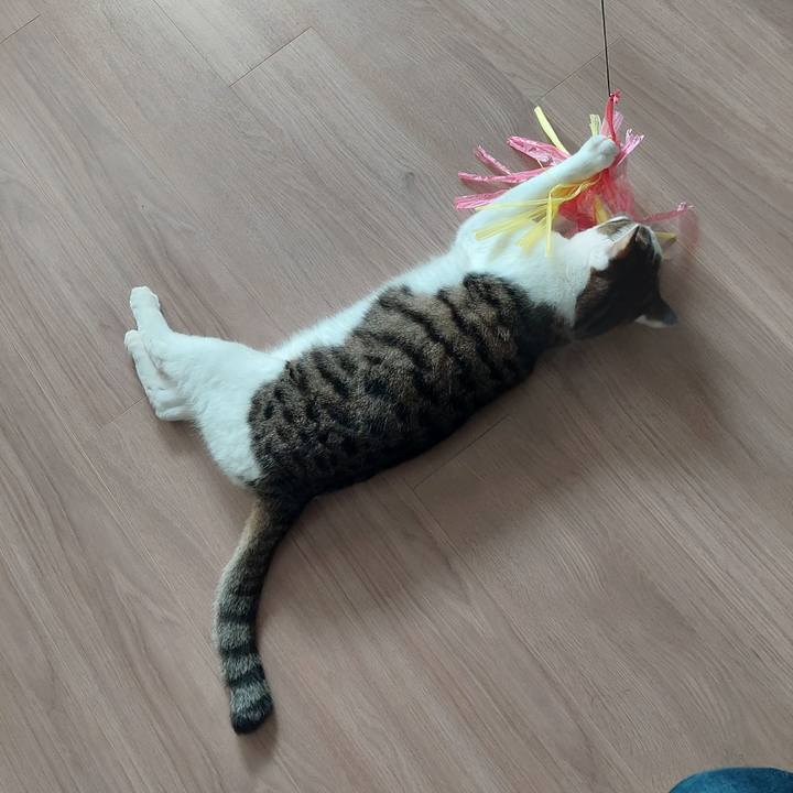 D897780c de11 48cf 8b56 cff400e1c53b 1633236624218