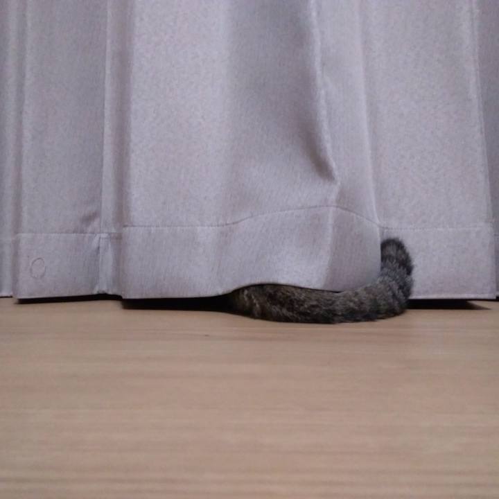 D8977d28 f784 4ccc bf67 4f494de8040d 1530978488997