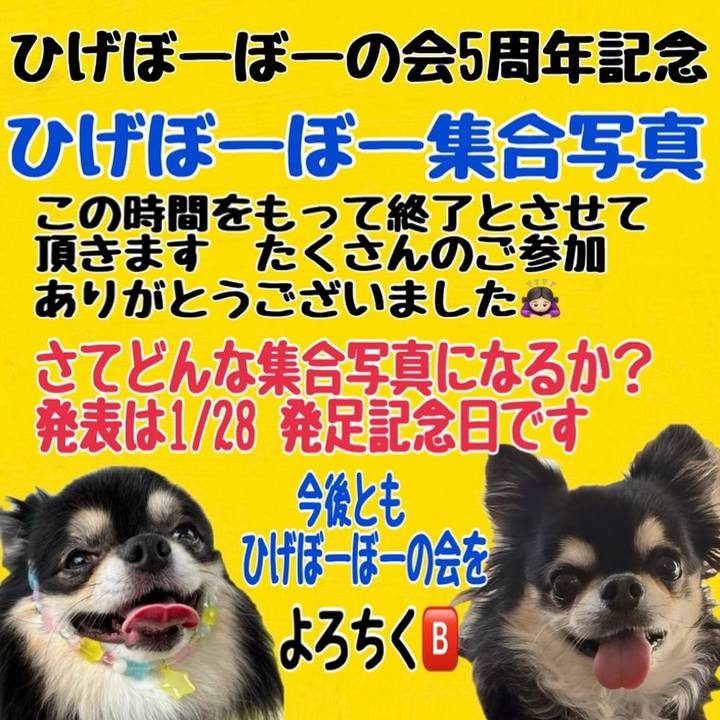 D8978aff 89df 4f83 b878 5a65407cb12f 1737849701357