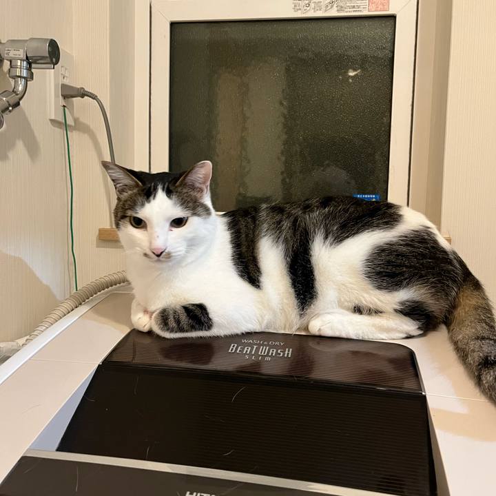 D897acef b596 4cba 948c ad45eff4e59d 1652621635958