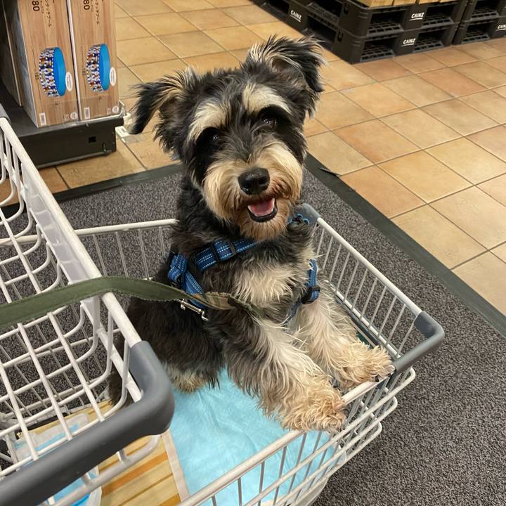 D897afa0 666f 4615 989e 1b1e7e4d3cce 1626262148846