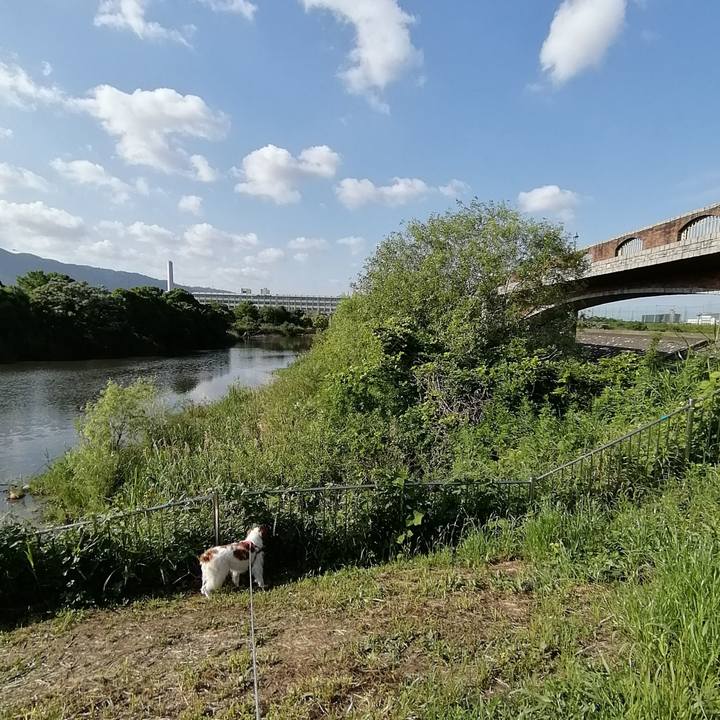 D897f503 90d0 4ec2 8299 3df3bcd27cea 1589932356229