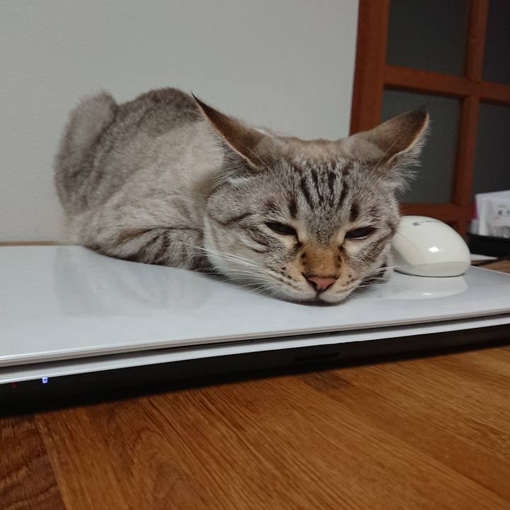 D8981c0c e167 4147 b0eb 44ec6ef451af 1532692304777