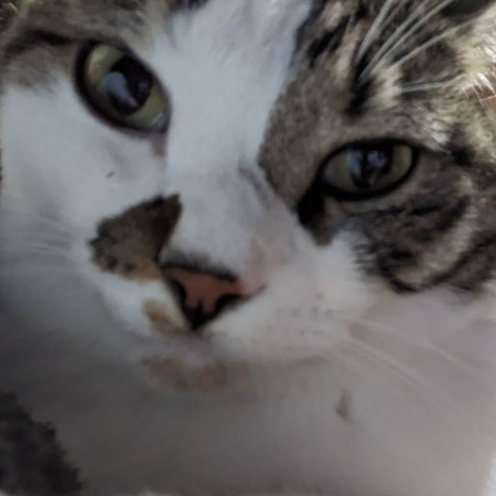 D898e624 9f6e 48c0 9d43 0358fa81ccae 1696926729098