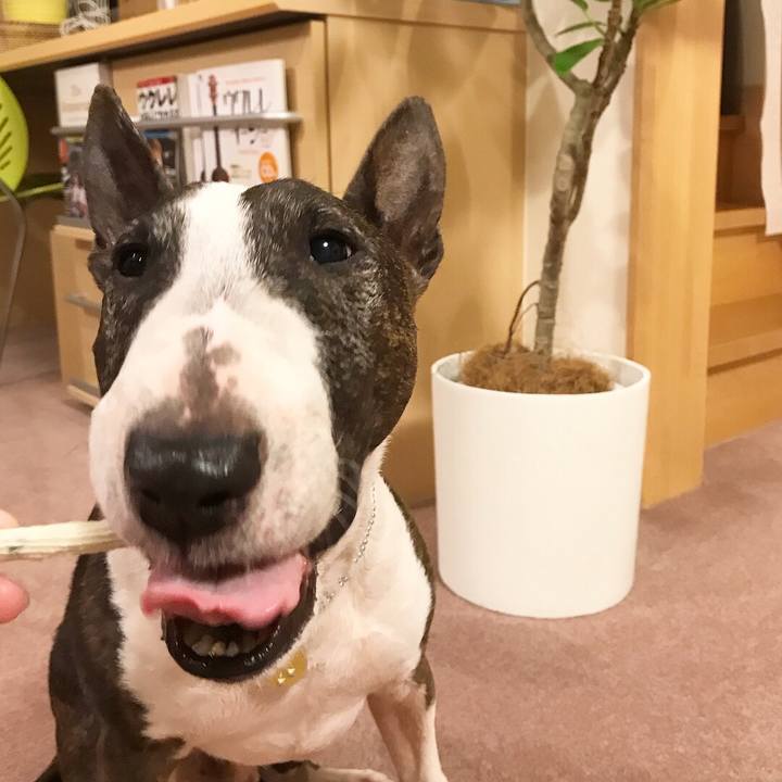 D898fff1 e7d0 42f5 ab54 d5b66aa18b97 1526642559082