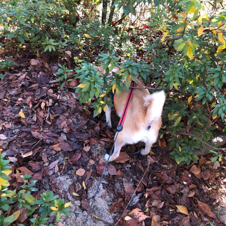 D899058b b8ab 4623 b95e 9cebce50a59c 1577663835818