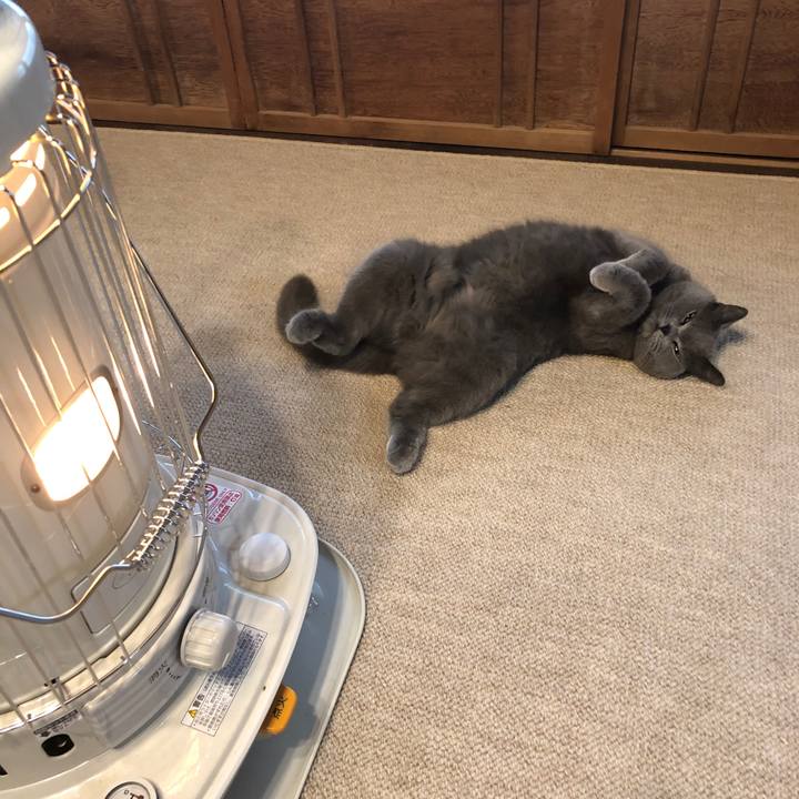 D8990e5b 49cd 4880 9484 f2329b045a01 1553904876058