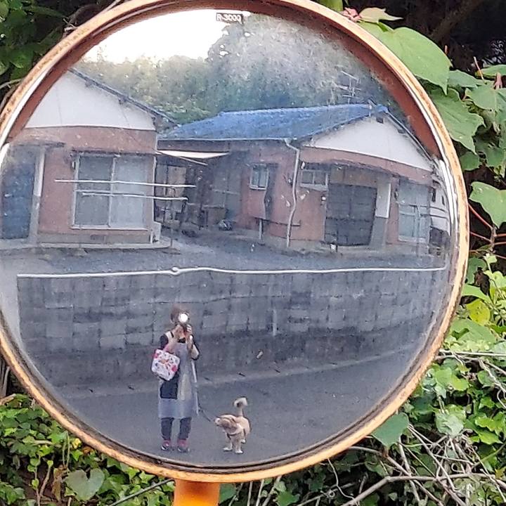 D89922ae 1a48 46de a239 10243ad8d253 1620640415940