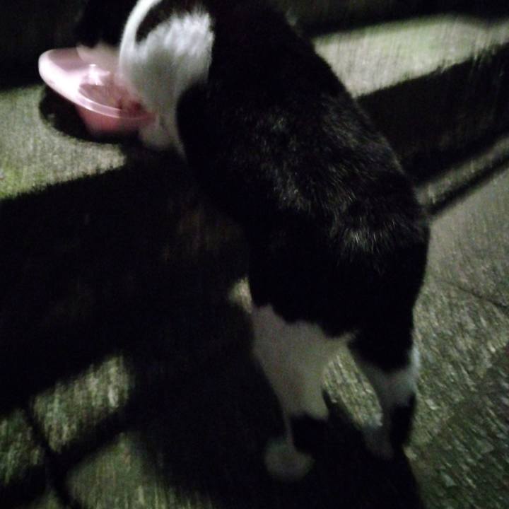 D8994231 c405 42ba 9190 3fa7b9944383 1700127972607