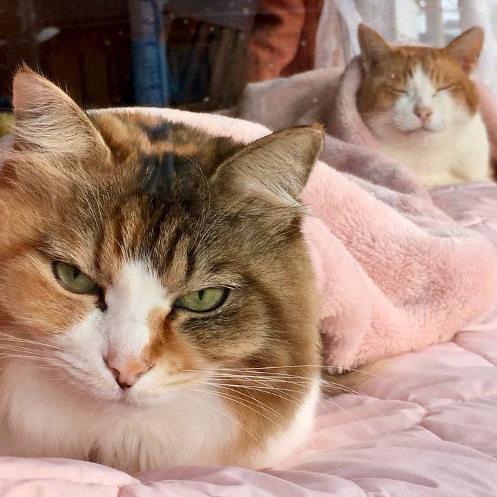 D8996213 81b1 444b a1ca 01a9ae11cc2c 1576656415193