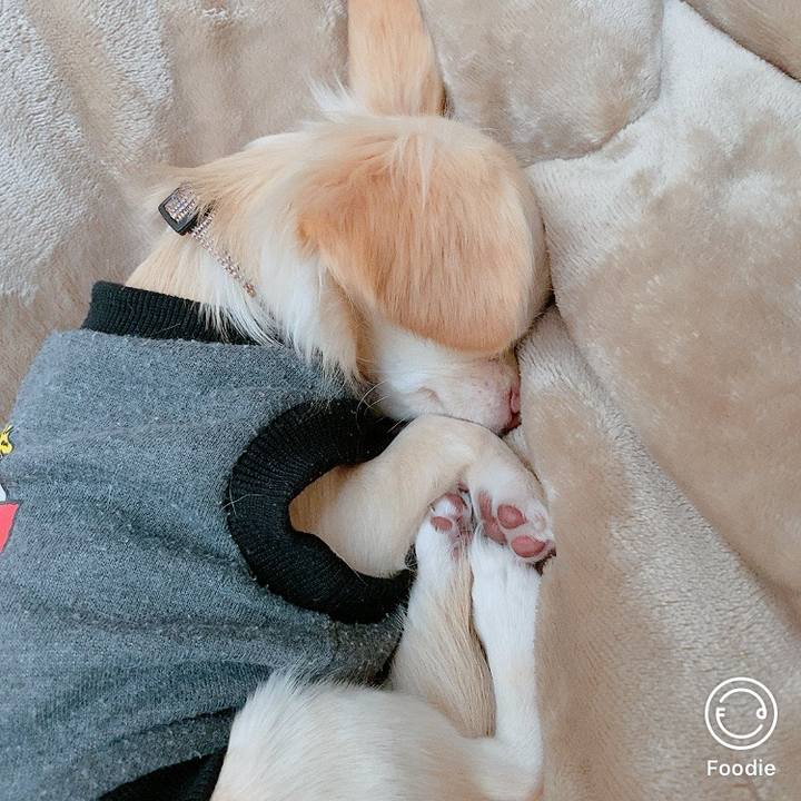 D899711d c419 42b8 88fb b3ef166cb8dd 1604284270676