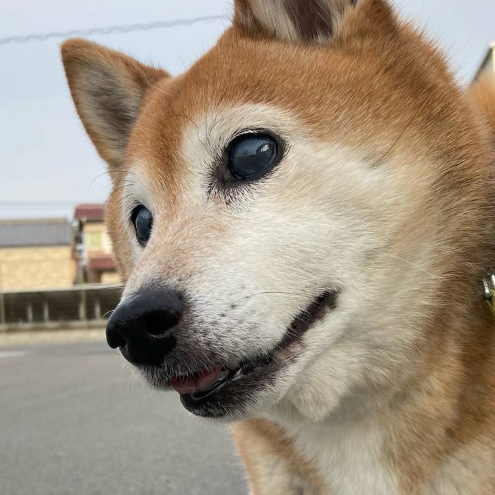 D899d619 8f17 447d 8dae def00bc257b2 1716539327106