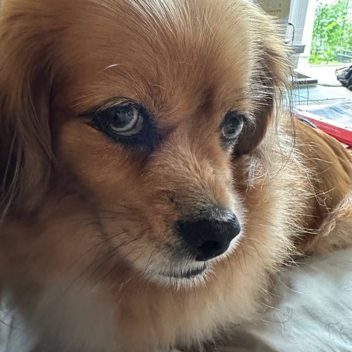 D89a135f 3a57 41b3 9e10 99828985296b 1686960087627