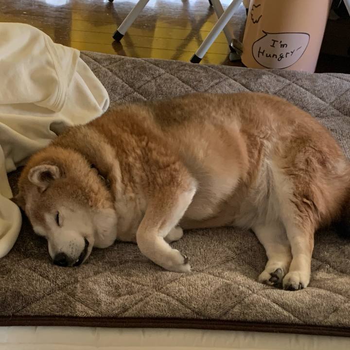 D89a3910 7530 4f01 ad62 9dca8f585dec 1643104897458