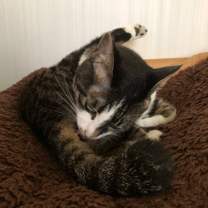 D89a4e3c 66ed 4166 aecc f72260f176ac 1621266339702