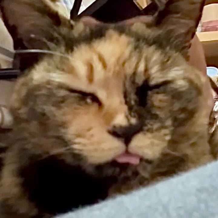 D89a53e7 0fcb 463d a140 5f85d3ae2326 1745287580547