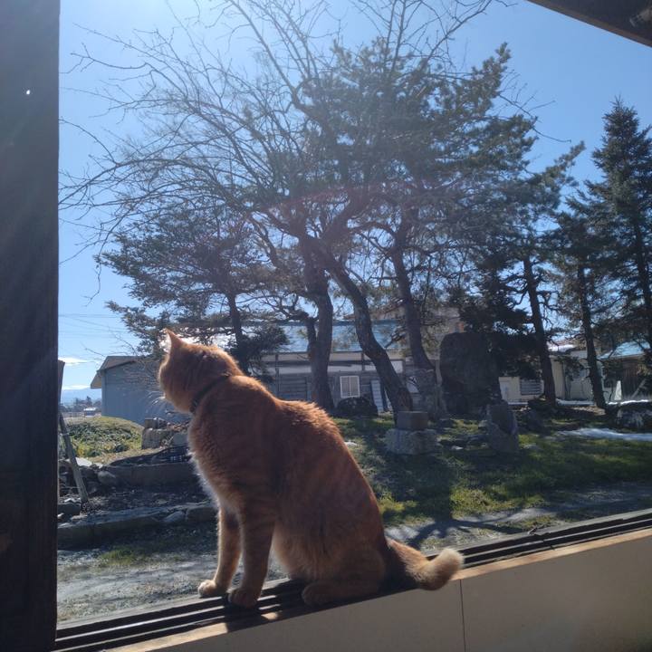 D89a77f9 47a1 46fa b87d cb4efac2f5c1 1708236896732