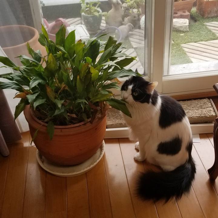 D89aa07a bf69 490e 9d41 3f306e487eda 1555201139217