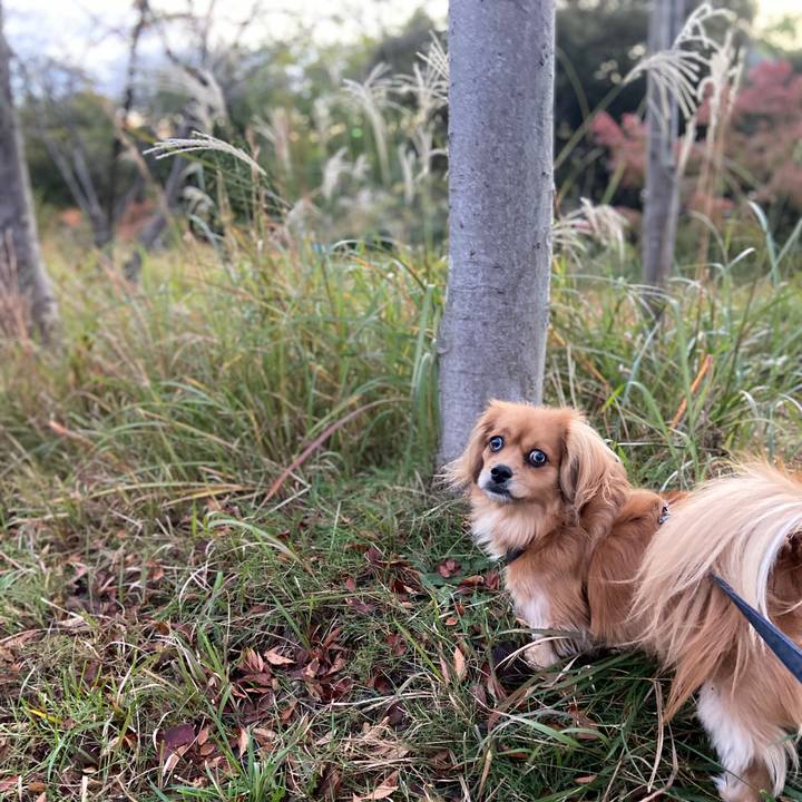 D89ab1f3 062e 4ed7 91a9 3940ad4430d7 1574201251059