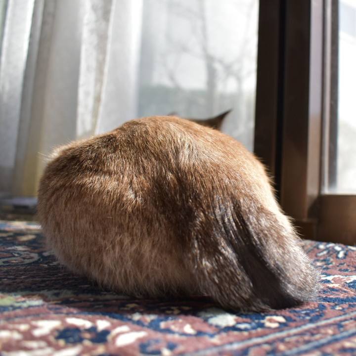 D89ae3f4 0601 4c17 8013 7dac30fefe50 1582260595196