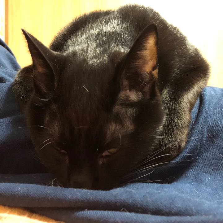 D89b0821 2d61 4c92 9ccb fabc8359d072 1709551149063