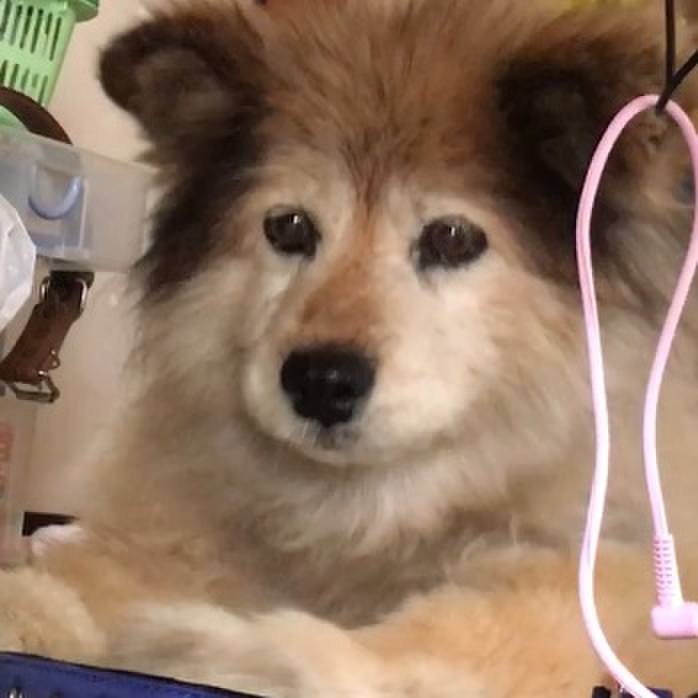 D89b3ba1 b16c 439a adff f2e99ceabb58 1609980076808