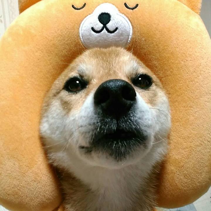 D89b613a 25da 43d4 9a4d 15bf16b75b7e 1566640136667