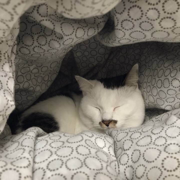 D89b66b1 1015 4257 9793 0c24121dc117 1551317860682