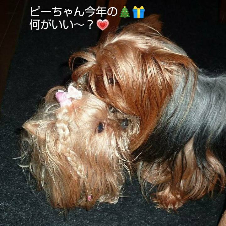 D89b963e 0817 43f8 866e 48bdafe9c20c 1608602113450